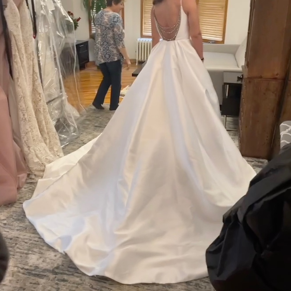 Hayley Paige Vanna gown - Picture 16 of 16